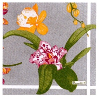 Paquet de 20 serviettes en papier "Orchidées"