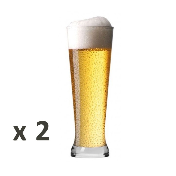 Coffret de 6 verres à bières pour dégustation - 3 différentes formes et contenances