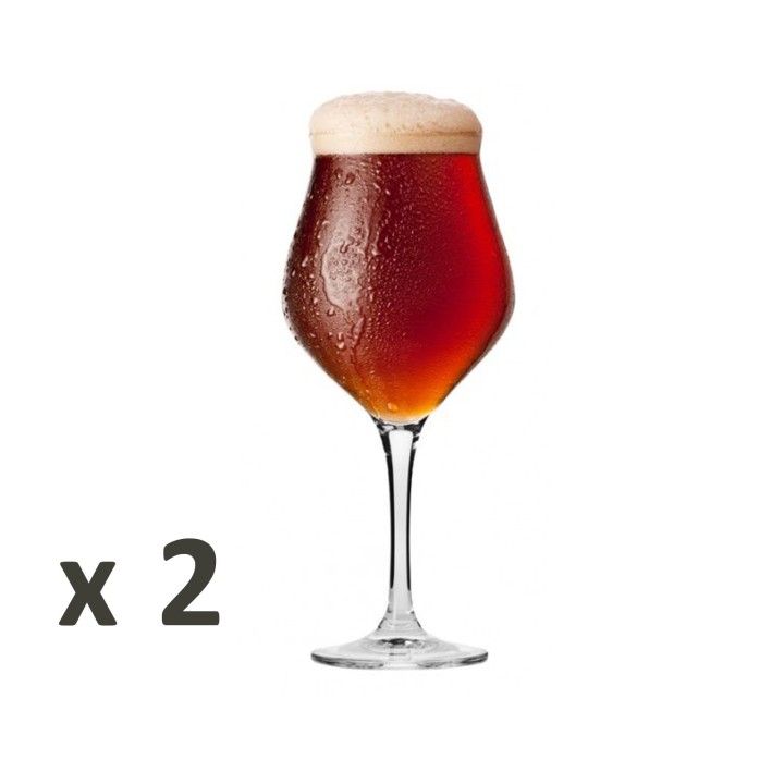 Coffret de 6 verres à bières pour dégustation - 3 différentes formes et contenances