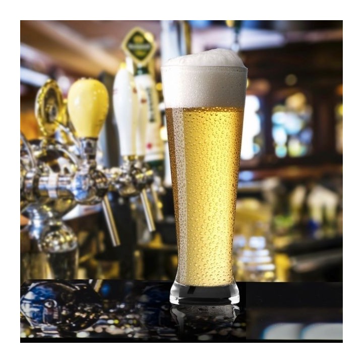 Coffret de 6 verres à bières pour dégustation - 3 différentes formes et contenances