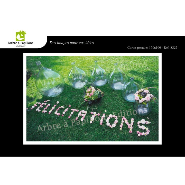 Lot de 6 cartes postales - Photos Frédéric Engel - VOEUX 1