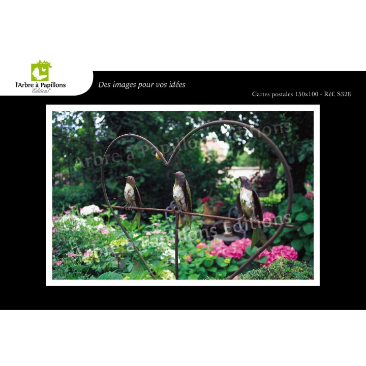 Lot de 6 cartes postales - Photos Frédéric Engel - VOEUX 1