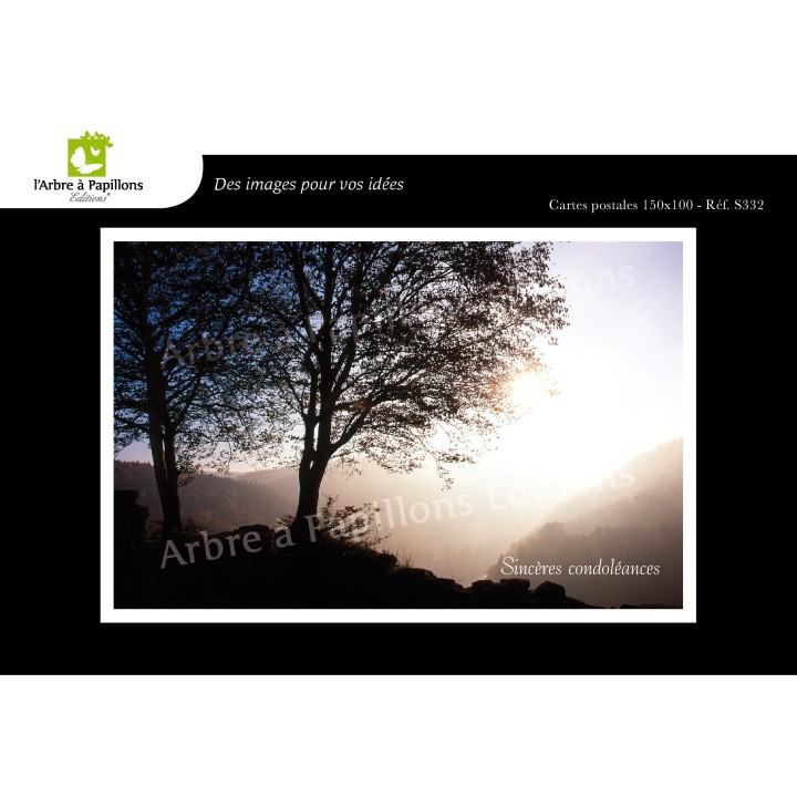 Lot de 6 cartes postales - Photos Frédéric Engel - VOEUX 1