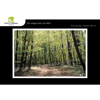 Lot de 6 cartes postales - Photos Frédéric Engel - VOEUX 2