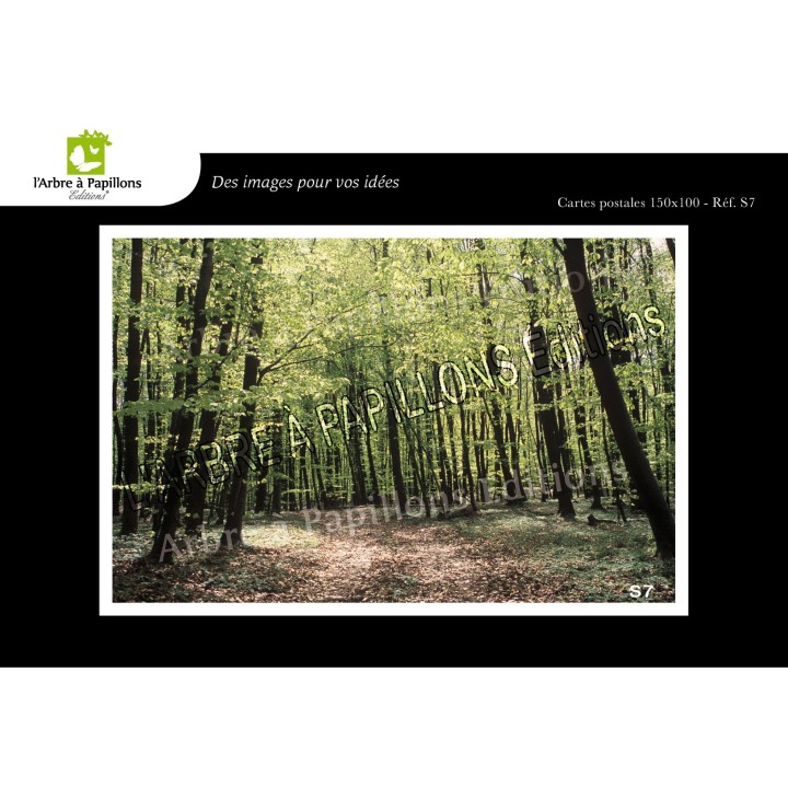Lot de 6 cartes postales - Photos Frédéric Engel - VOEUX 2