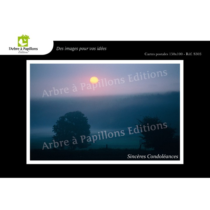 Lot de 6 cartes postales - Photos Frédéric Engel - VOEUX 2