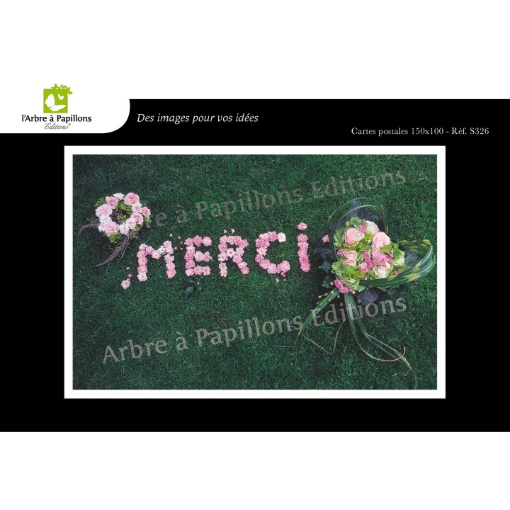Lot de 6 cartes postales - Photos Frédéric Engel - VOEUX 2