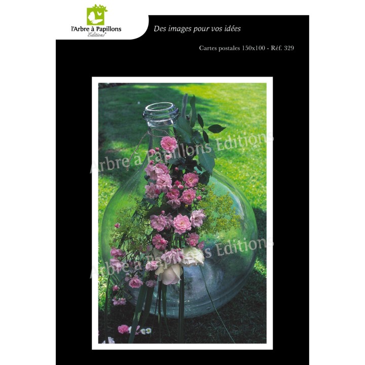 Lot de 6 cartes postales - Photos Frédéric Engel - VOEUX 2