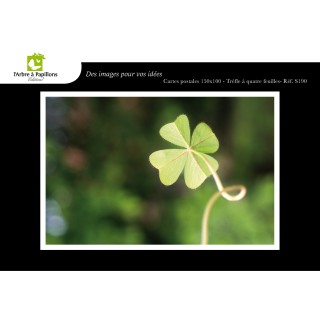 Lot de 6 cartes postales - Photos Frédéric Engel - VOEUX 3