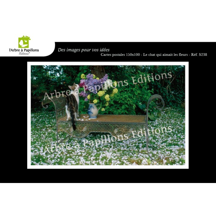 Lot de 6 cartes postales - Photos Frédéric Engel - VOEUX 3
