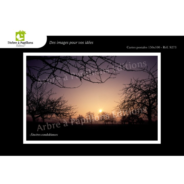 Lot de 6 cartes postales - Photos Frédéric Engel - VOEUX 3