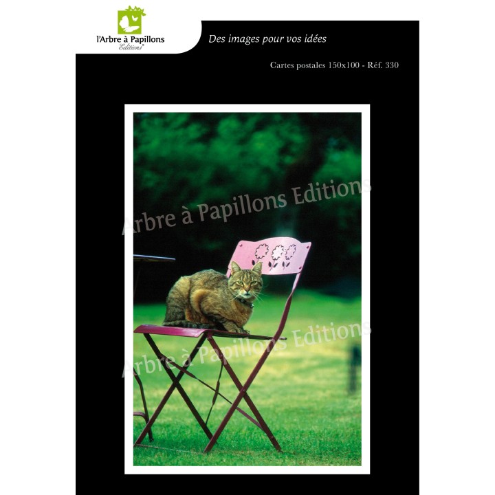 Lot de 6 cartes postales - Photos Frédéric Engel - ANIMAUX 1