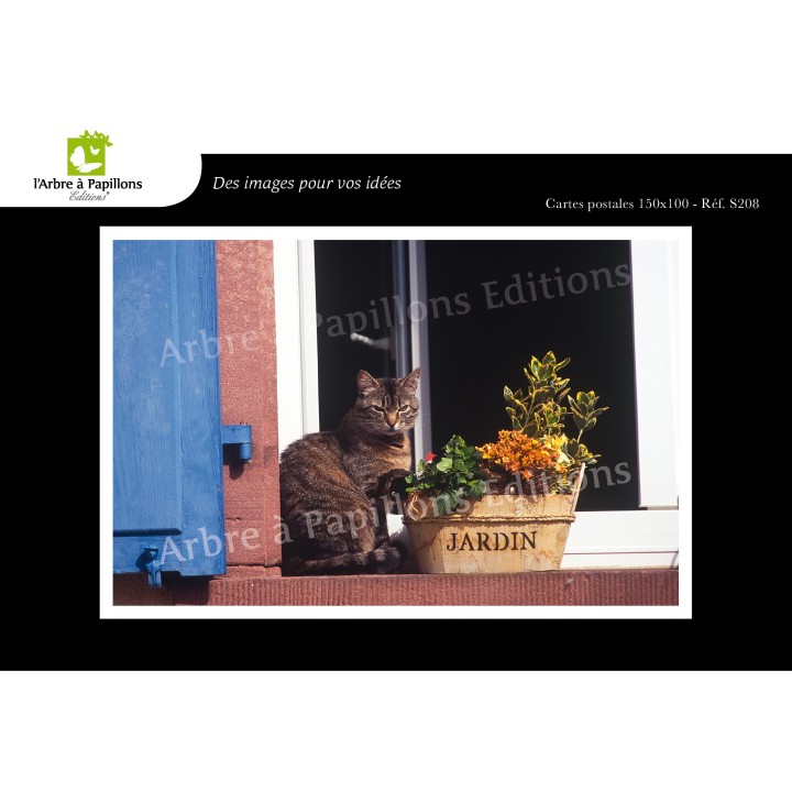 Lot de 6 cartes postales - Photos Frédéric Engel - ANIMAUX 2