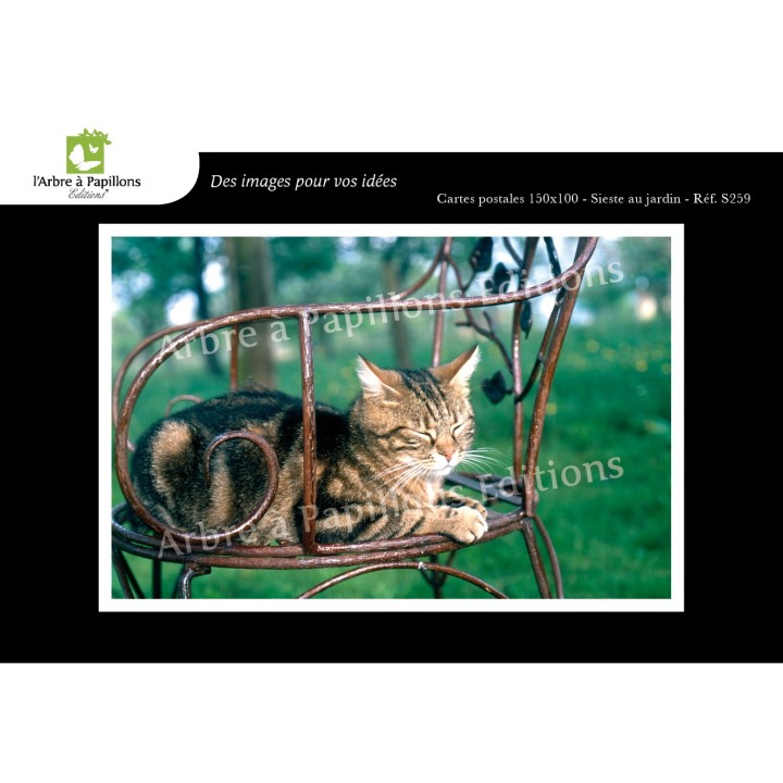 Lot de 6 cartes postales - Photos Frédéric Engel - ANIMAUX 2