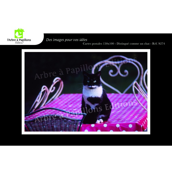Lot de 6 cartes postales - Photos Frédéric Engel - ANIMAUX 2