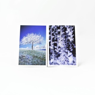Lot de 6 cartes postales - Photos Frédéric Engel - HIVER 1