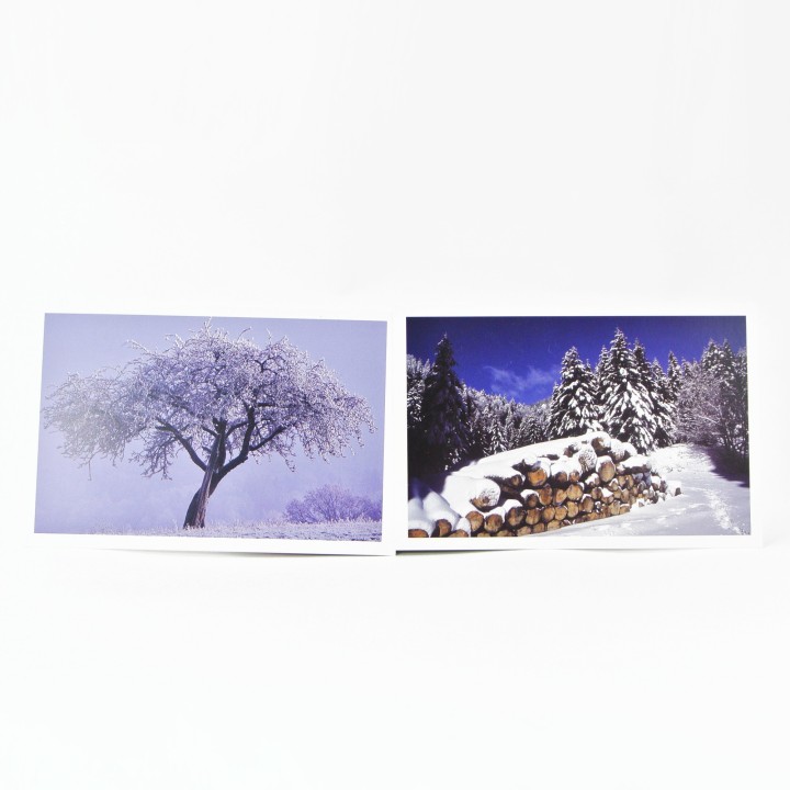 Lot de 6 cartes postales - Photos Frédéric Engel - HIVER 1
