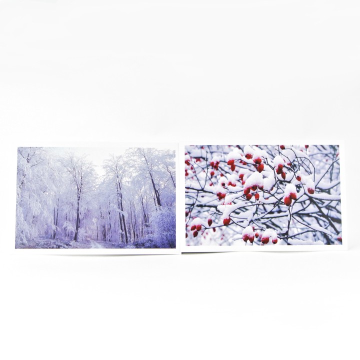 Lot de 6 cartes postales - Photos Frédéric Engel - HIVER 1