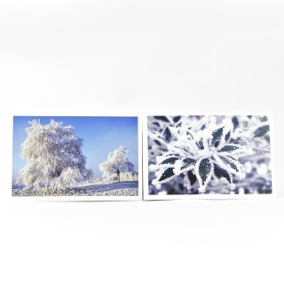 Lot de 6 cartes postales - Photos Frédéric Engel - HIVER 2