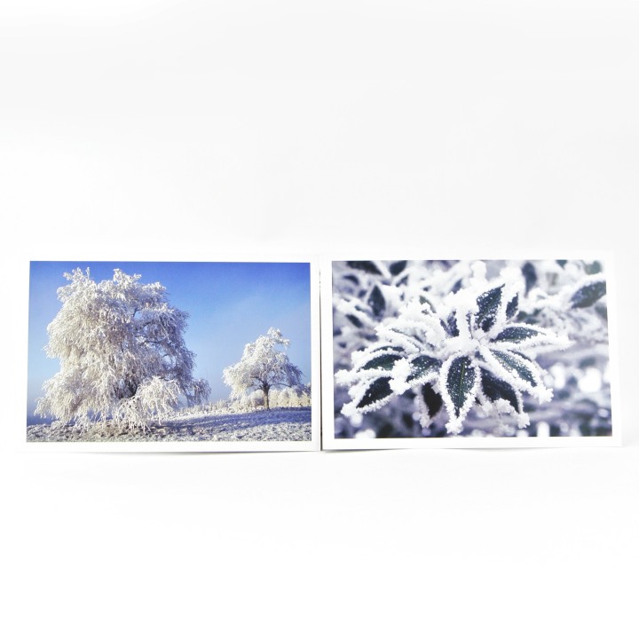 Lot de 6 cartes postales - Photos Frédéric Engel - HIVER 2
