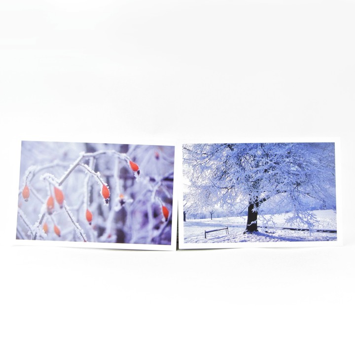 Lot de 6 cartes postales - Photos Frédéric Engel - HIVER 2
