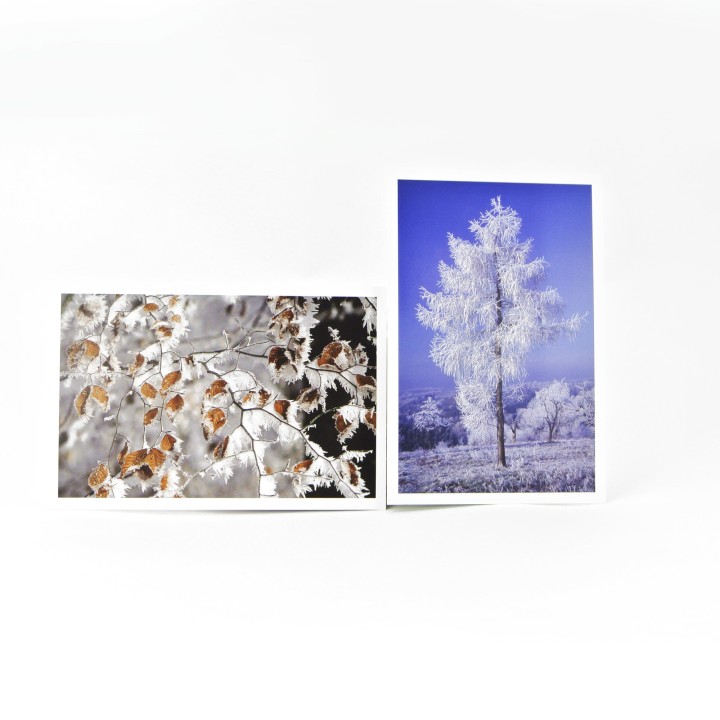 Lot de 6 cartes postales - Photos Frédéric Engel - HIVER 2