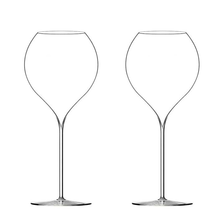 Coffret 2 verres soufflés bouche ultralight P. Jamesse Synergie 60cl